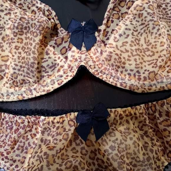 NWT Bra and Panty Matching Set 34D/S - Picture 2 of 7